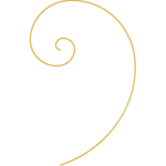 Fibonacci-Curl-Icons_Donker Groen 4